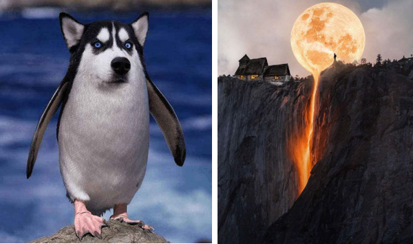 1606379548613636.png 1.png