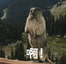 1635831034545312.gif 966614d44528d583c8d483b885cadf70.gif